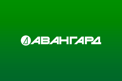 Интернет магазин для Авангард