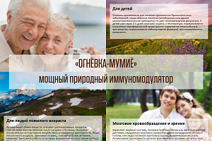 ognevka-mumie.rf