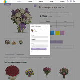 Pvgroup.Flower - Интернет магазин цветов, комнатных растений Начиная со Старта с конструктором 60152