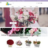 Pvgroup.Flower - Интернет магазин цветов, комнатных растений Начиная со Старта с конструктором 60152